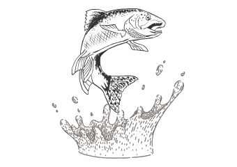 Un pesce fuor d’acqua